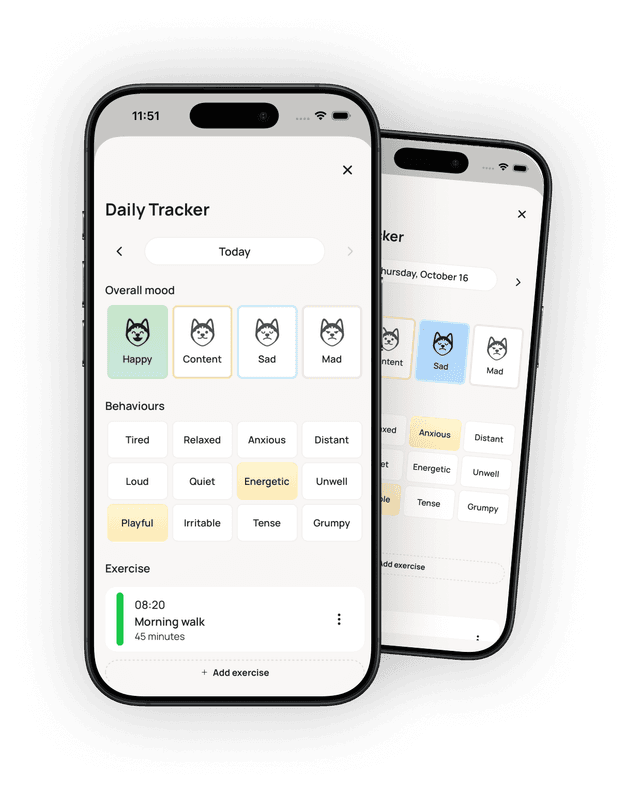 Track your daily activity