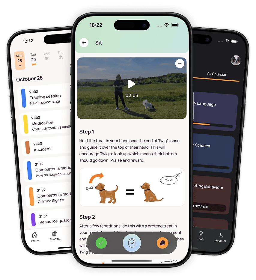 App Screenshots